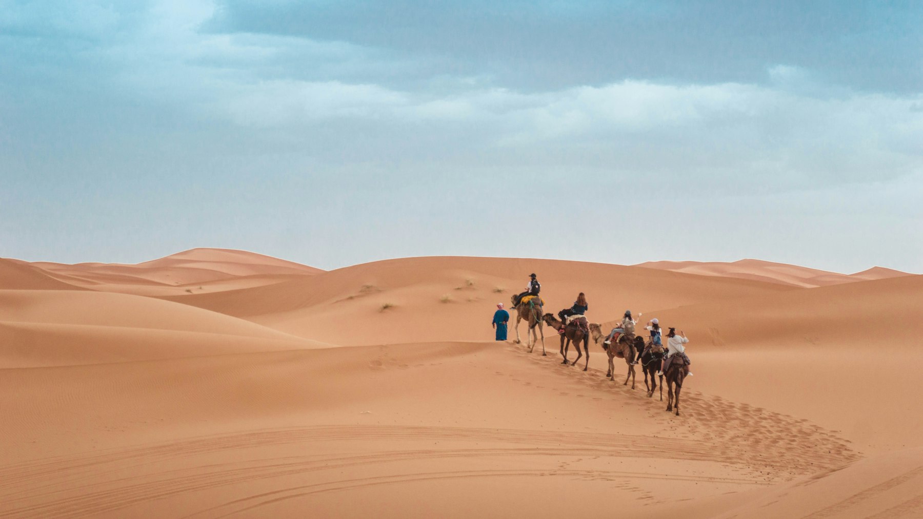 Caravane de dromadaires dans le Sahara